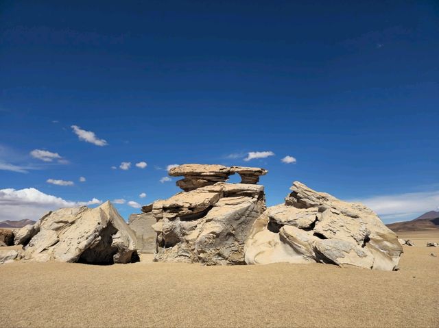 해외여행 볼리비아 알티플라노 고원의 Rock Tree