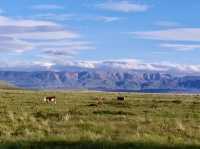  Classic Explorer – Torres del Paine