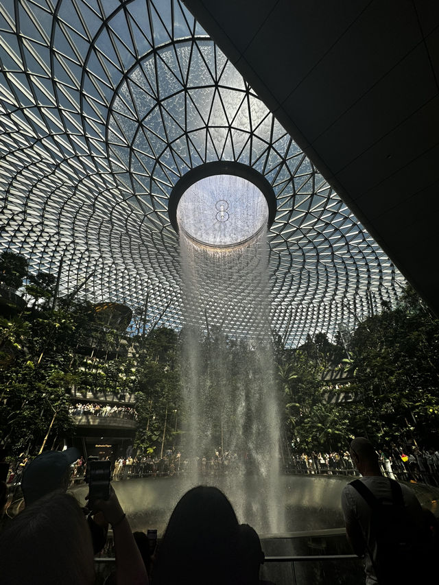 Singapore pros and cons 