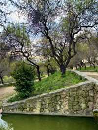 A Walk Like a Painting