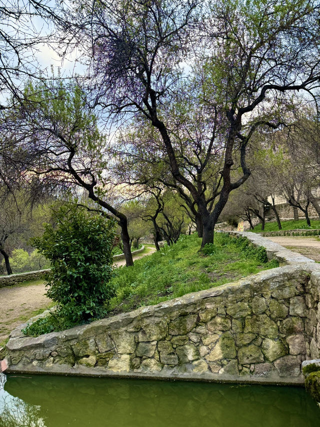 A Walk Like a Painting