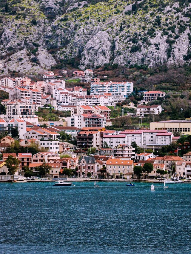 🚗💸 Ride Sharing Around Montenegro