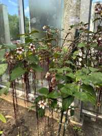 Trip to de Hortus 