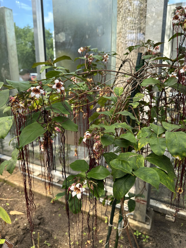 Trip to de Hortus 