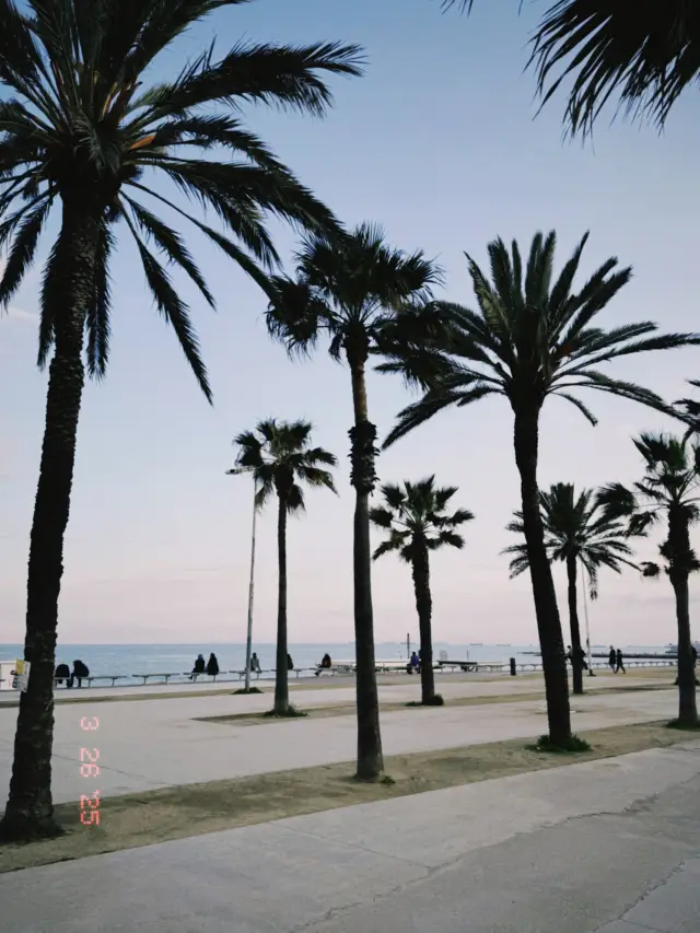 Barceloneta 🌴 