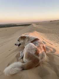 Siwa Oasis - the only genuine place in Egypt
