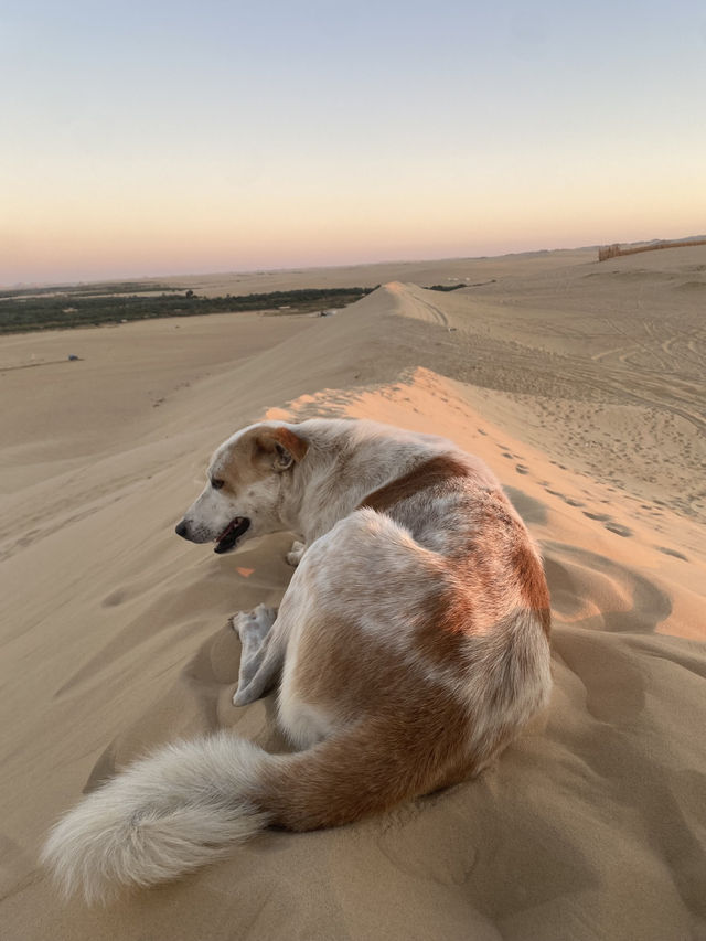 Siwa Oasis - the only genuine place in Egypt