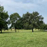 Parco della Pellerina