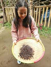 Waterfalls Hiking,Coffee Tour,Lake.Duluti Canoeing, Local Food,Meru Paradise view,Chemka hotspring,Local Beer tasting,Cooking class,Town tour,Tengeru Market welcome to the footprints of the earth