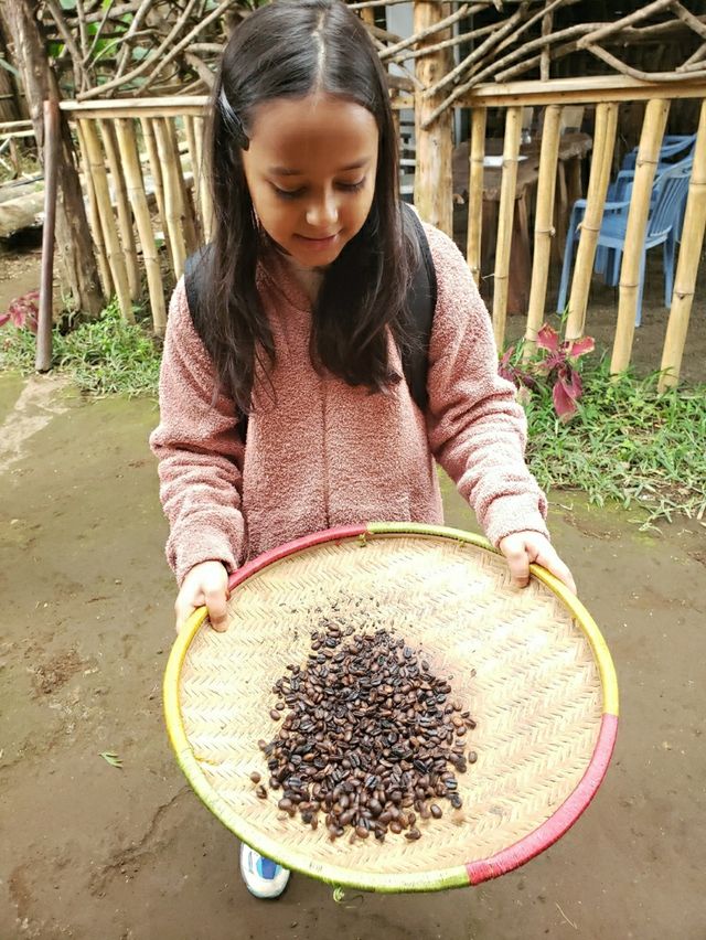 Waterfalls Hiking,Coffee Tour,Lake.Duluti Canoeing, Local Food,Meru Paradise view,Chemka hotspring,Local Beer tasting,Cooking class,Town tour,Tengeru Market welcome to the footprints of the earth