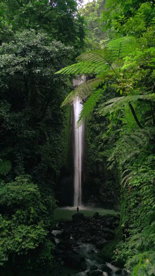 🌿 Casaroro Falls – The Veil of the Mountain in Negros Oriental