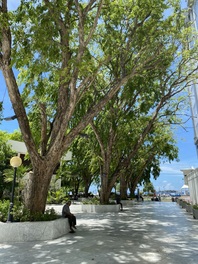 Exploring Malé: History, How to Get There, and What to See in One Day