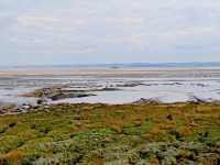 Magor Marsh and the Caldicot Levels 