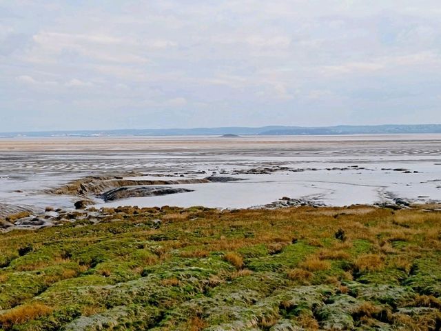 Magor Marsh and the Caldicot Levels 