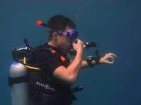 Diving into Ko Phi Phi