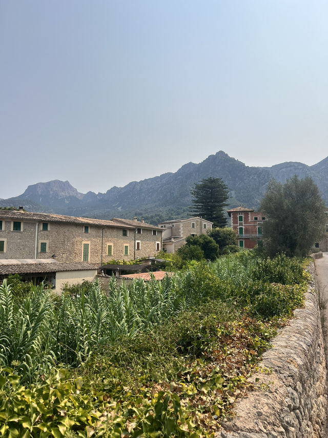 Day Trip from Palma to Soller 
