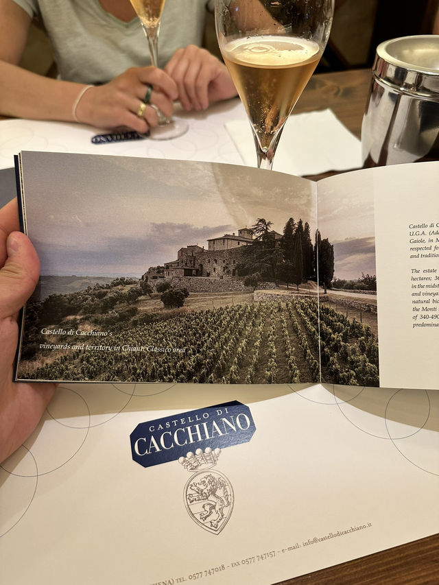 My wine tasting experience in Tuscany’s vineyard Castello Di Cacciano