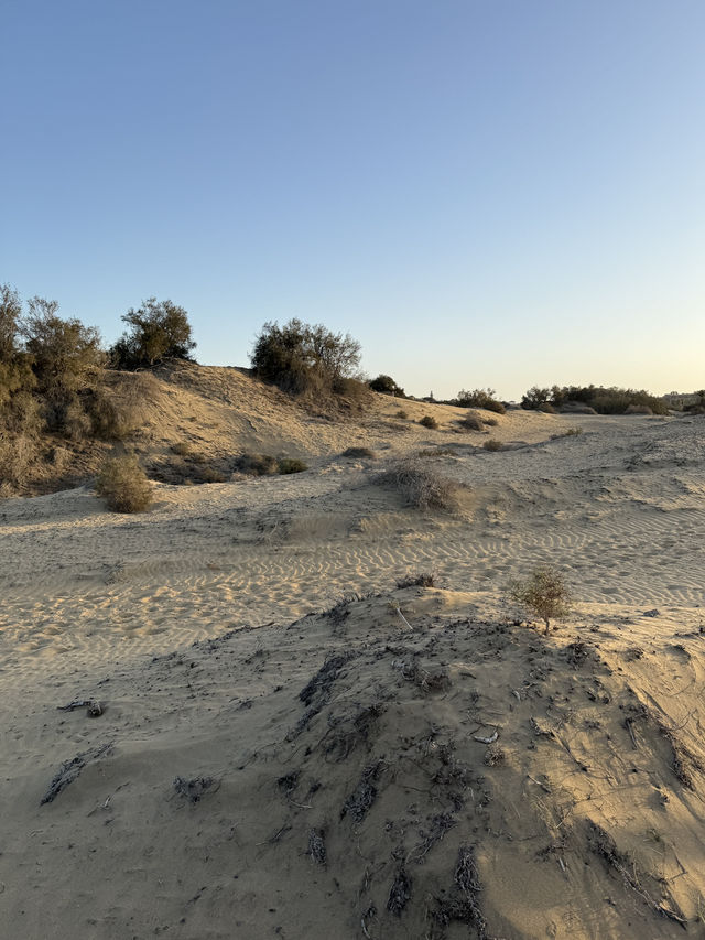 The Dunes of Maspalomas, Gran Canaria 🏜️
