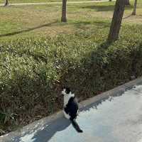 Antalya Day Trip Itinerary