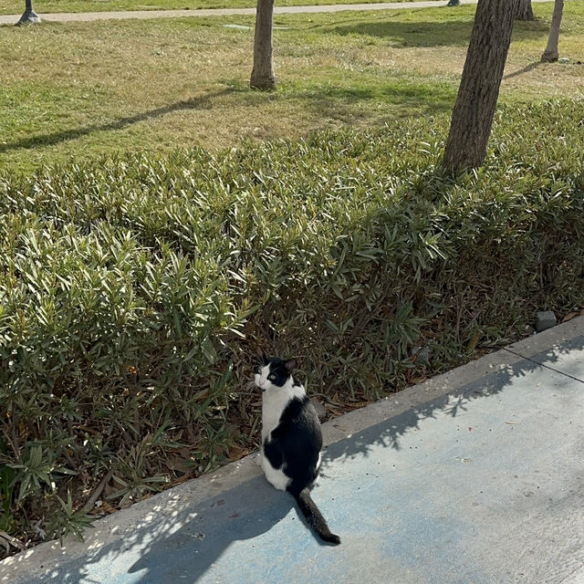 Antalya Day Trip Itinerary