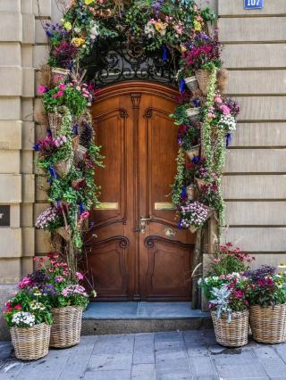 바젤의 생동감 넘치는 팔레트