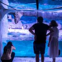 Bangkok's Best Aquarium
