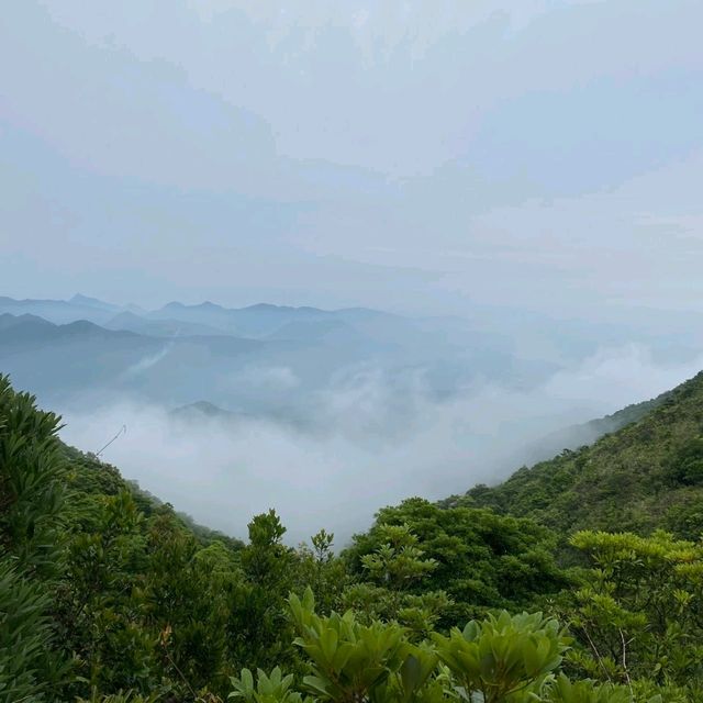 麥理浩徑第四段 雲山霧海 麥理浩徑第四段 雲山霧海