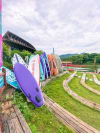 Celebrate the Dragon Boat Festival & Race 🐉