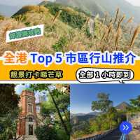 全港 TOP 5 市區行山推介🥾