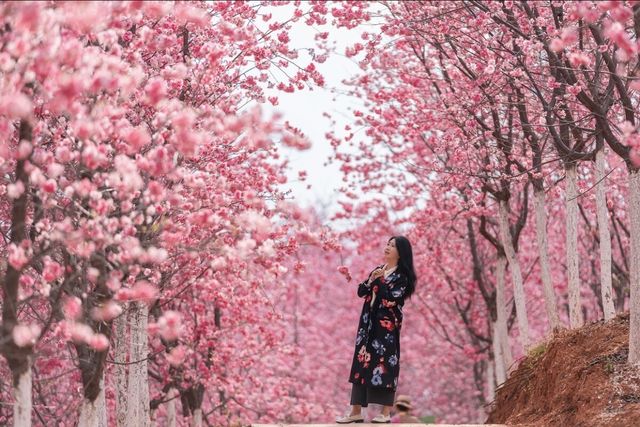Japan - Fukuoka