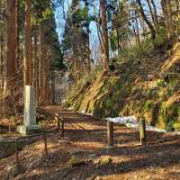 Hiking, trekking @ Mt. Hakodate