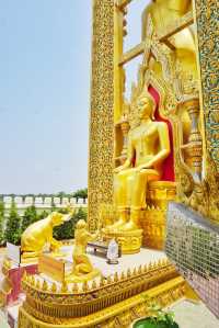 【Travel around the 🌍world】Bangkok, Thailand🇹🇭. Ayutthaya Ancient City