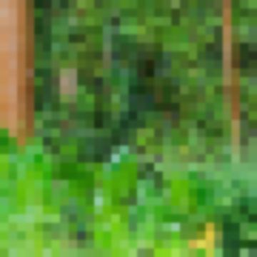 WhisperingWanderer7de77