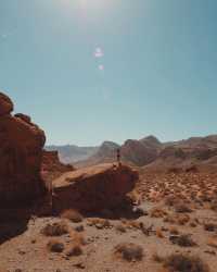 Desert Safari Thrills: A Wild Ride in the Valley of Fire