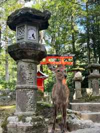 日本8天7晚旅遊流水帳（下）大阪篇