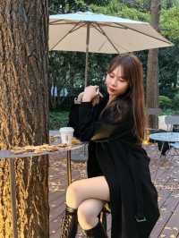 秋葉飄落，咖啡飄香