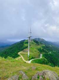 日本大室山——每年都要燒一遍火，一生必去打卡