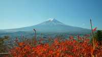 環繞富士山遊覽