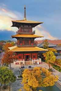 不是日本,真的真的是上海!!