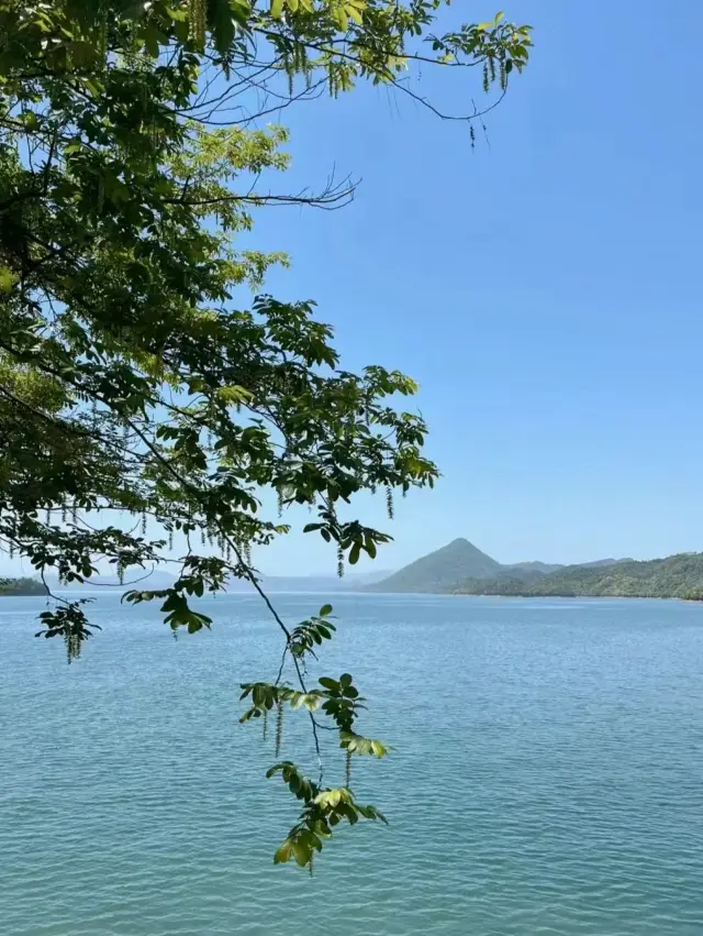 太平湖 | 遠離喧囂，享受自然