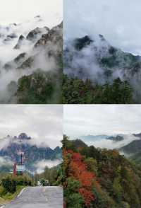 河南老界嶺/萬畝彩林太震撼了，一定要來感受這裡的秋色大餐！
