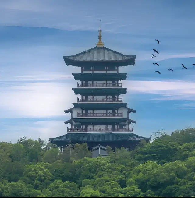 초장 도시 지역 여행 및 숙박 가이드