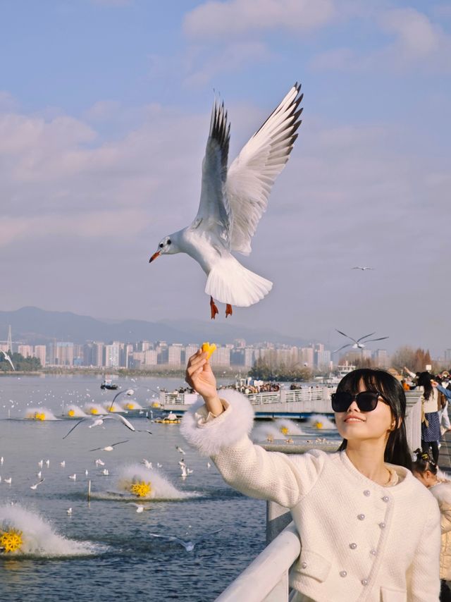 不是巴黎去不起，而是昆明更有性價比