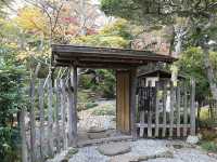 🇯🇵秋遊箱根強羅公園