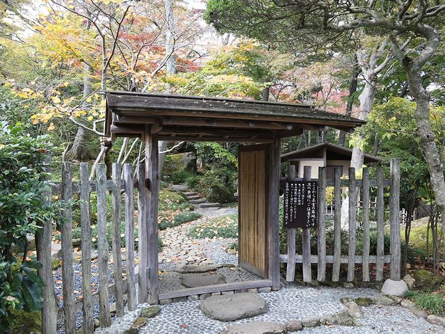 🇯🇵秋遊箱根強羅公園