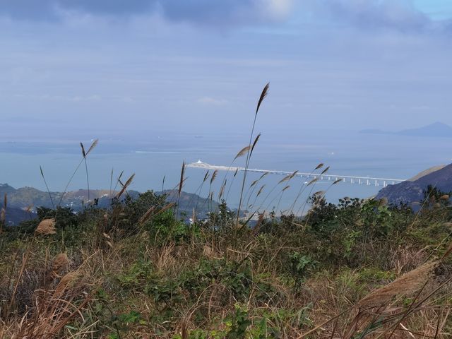 香港行山第十九站—鳳凰徑五段六段