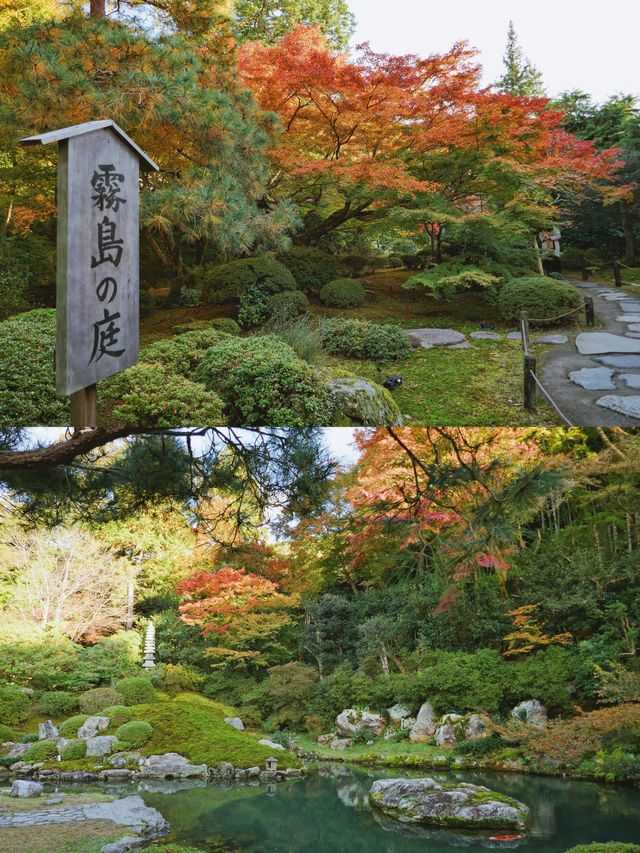 京都青蓮院，好適合一個人呆一整天