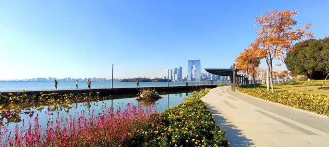 The right bank of the renovated Jinji Lake is more beautiful