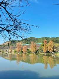 玉岩書院