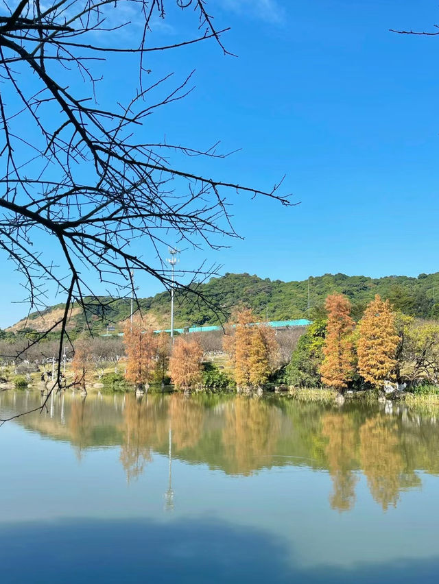 玉岩書院